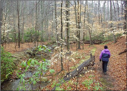 Bull Run Mountains