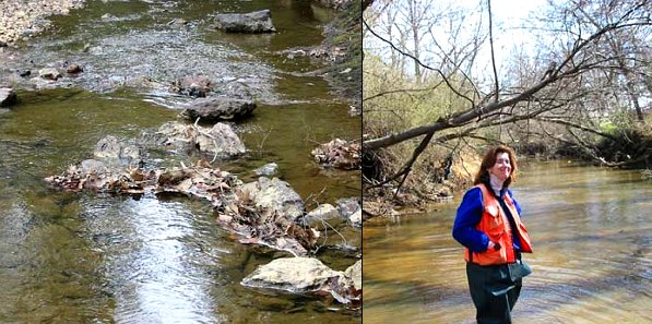 Prince William County Public Works - Stream Corridor Assessment Project