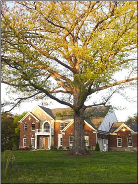 a classic home