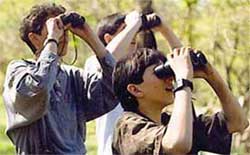 Sharing Nature With Children