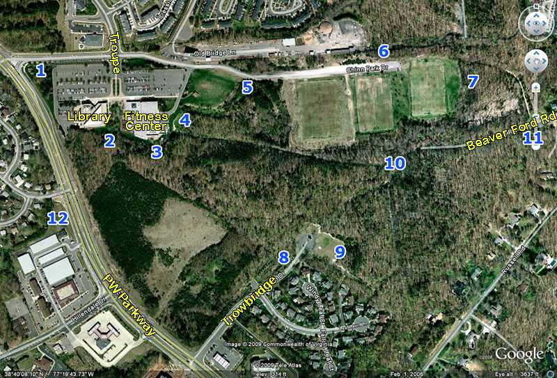 Map showing nesting box locations at Chinn Park