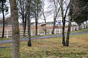 Merrimac Farm Bluebird Trail Nesting Box 4