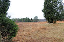 Merrimac Farm Bluebird Trail Nesting Box 9