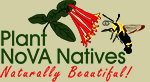 Plant NoVA Natives