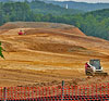 Clearcut behind Potomac Library, Opitz Blvd.