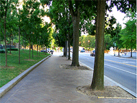 Suburban street by Julia Flanagan