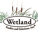 Wetland Studies and Solutions