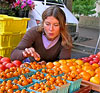 Potomac Farms