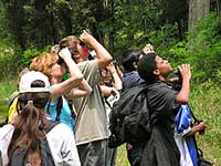 Explore nature close to home!