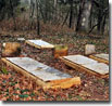 French Family Cemetery