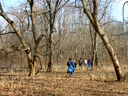 Floodplain Trail