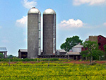 Nokesville Farm