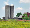 Nokesville Farm