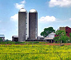 Rural Crescent Farm