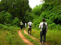 Forest Trail, photo Kim Hosen