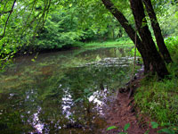 Occoquan River, photo Kim Hosen