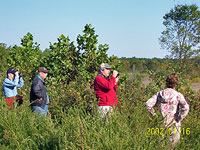 Route 234 Wetland Bank