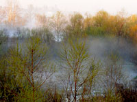 Mist rising off the Route 234 Wetland Mitigation Area