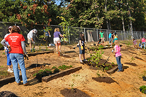 Tree Planting at K9 Gunner Memorial Dog Park