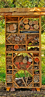 Pollinator Palace