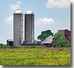 Nokesville farm