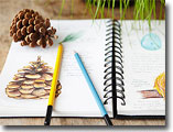 Nature journal