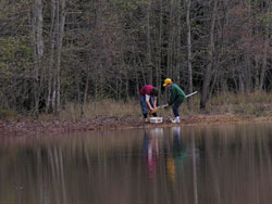 Students investigate aquatic ecosystems.