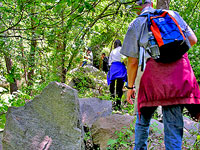 Hike along the southern border of the Occoquan Reservoir.