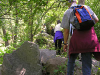 Surburban Hikers