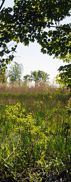 Featherstone Refuge