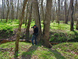 Merrimac Farm Virginia Bluebell Tours