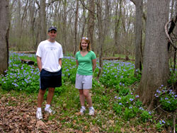 Merrimac Farm Virginia Bluebell Tours