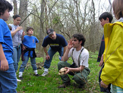 Merrimac Farm WMA