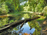 Cedar Run at Merrimac Farm