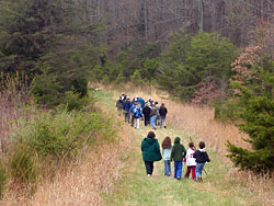 Upland Trail
