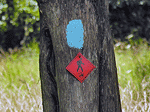Floodplain Trail