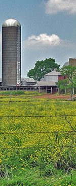 Farmland Farmland