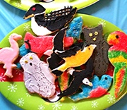 Identify the Cookies by Nancy Vehrs