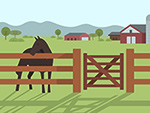Countryside