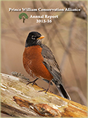 Annual Report