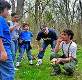 Bluebell Festival Fun