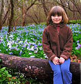 Bluebells!