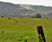 Rural Crescent Farm