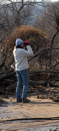 Natural areas protect wildlife diversity and offer residents exciting opportunities to learn more about local habitats.