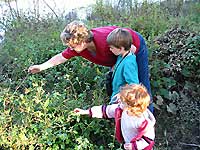 Families Explore Plants and Wildlife at Veteran's Park