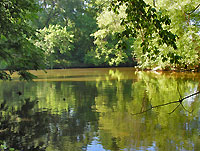 Dove's Landing - Confluence of Bull Run and Cedar Run