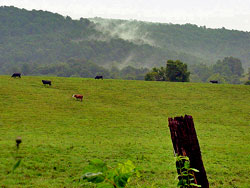 Prince William's Rural Crescent