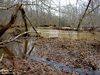 Cedar Run 3/1/07