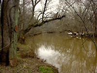Cedar Run 3/1/07