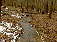 Intermittand stream 3/1/07